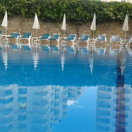 Orange Grove Apart