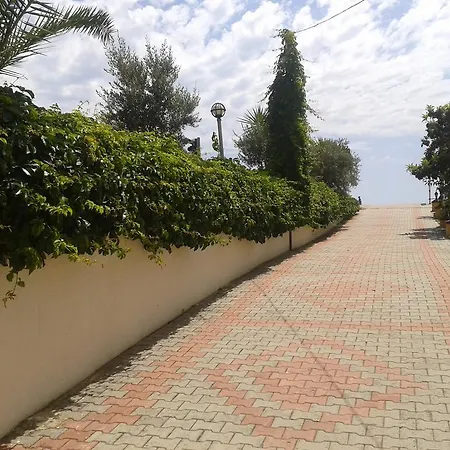 Orange Grove Apart